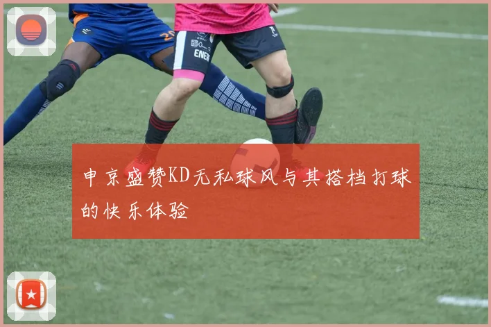 申京盛赞KD无私球风与其搭档打球的快乐体验